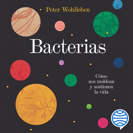Bacterias