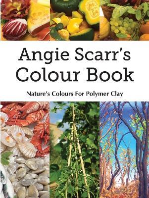 Angie Scarr's Colour Book: Nature's Colours For Polymer Clay - Angie Scarr - cover