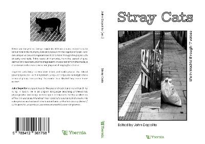 Stray Cats: Life in Madrid Through 17 Voices - cover