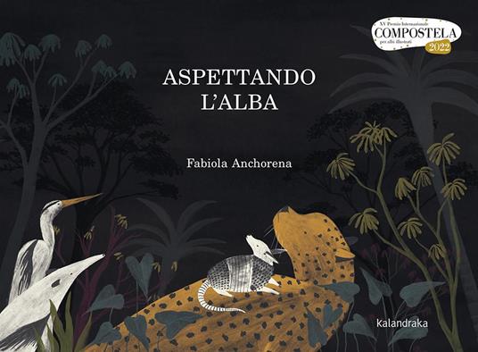 Aspettando l'alba - Fabiola Anchorena - copertina
