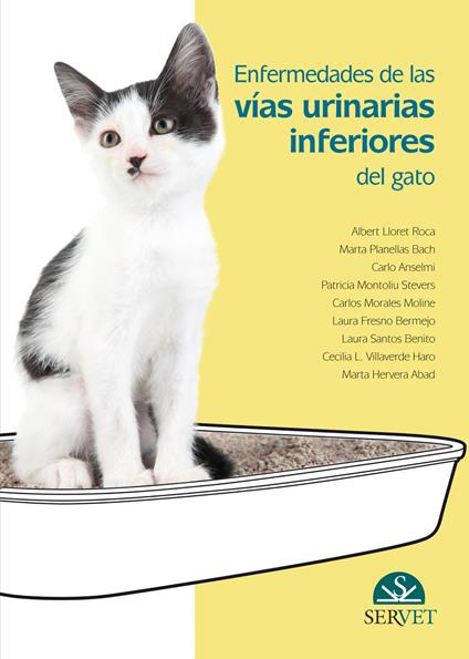 Enfermedades de las vías urinarias inferiores del gato - Albert Lloret Roca,Marta Planellas Bach,Carlo Anselmi - copertina