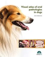 Visual atlas of oral pathologies in dogs