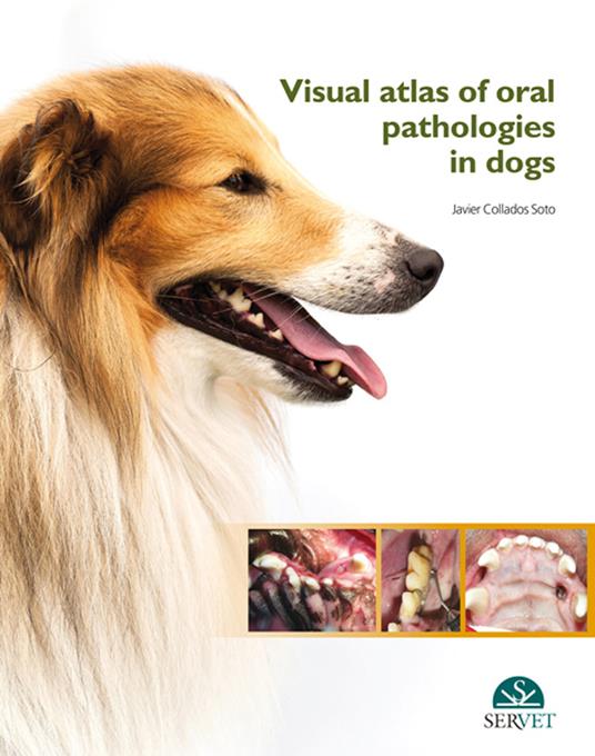 Visual atlas of oral pathologies in dogs - Javier Collados Soto - copertina