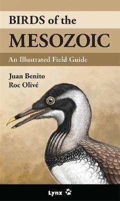 Birds of the Mesozoic - Juan Benito - cover