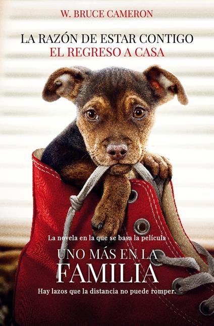 La razón de estar contigo. El regreso a casa 1 - El regreso a casa