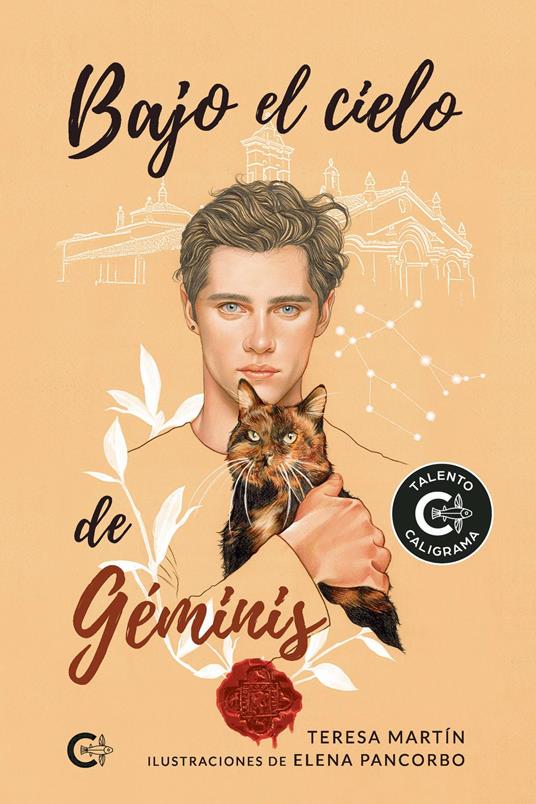 Bajo el cielo de Géminis - Teresa Martín - ebook