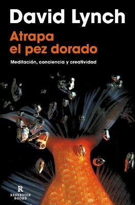 Atrapa el pez dorado / Catching The Big Fish - David Lynch - cover