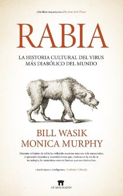 Rabia - Bill Wasik - cover