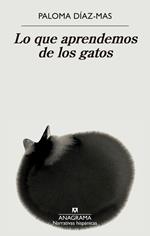 Lo que aprendemos de los gatos