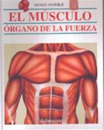 El Musculo: Organo de la Fuerza