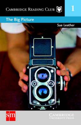The Big Picture SM Edition - Sue Leather - cover