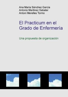 El Practicum en el Grado de Enfermería - Ana García María Sánchez,Antoni Tormo Merelles,Antonio Sabater Martínez - cover