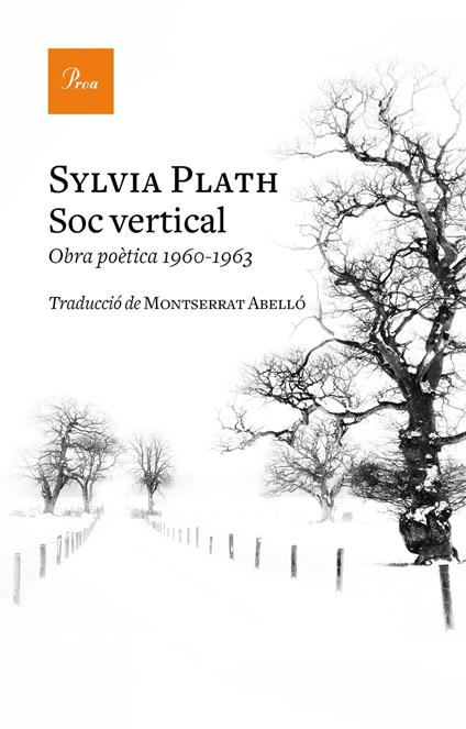Sóc vertical - Sylvia Plath,Montserrat Abelló - ebook