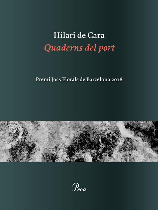 Quaderns del port - Hilari de Cara - ebook