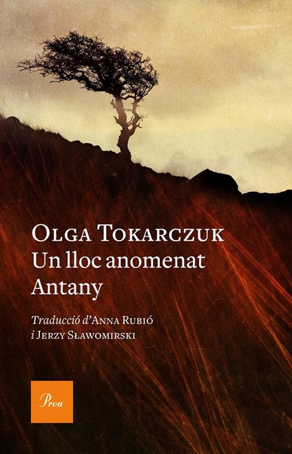 Un lloc anomenat Antany - Olga Tokarczuk,Anna Rubió Rodon,Jerzy Slawomirski - ebook