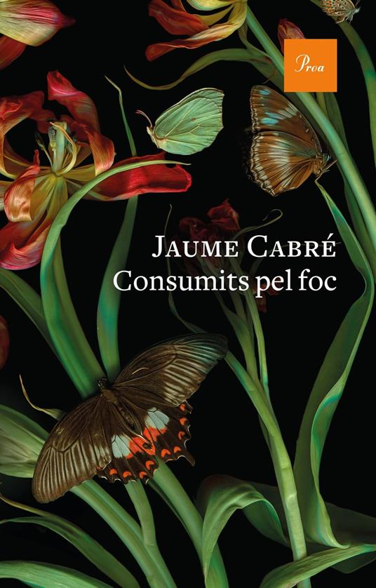Consumits pel foc - Jaume Cabre - ebook