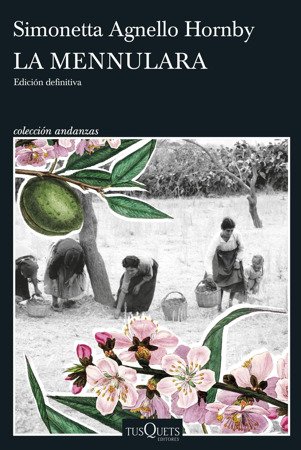 ibs