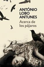 Acerca de los pájaros