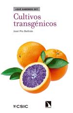 Cultivos transgénicos