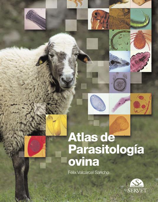 Atlas de parasitología ovina - Félix Valcárcel - copertina