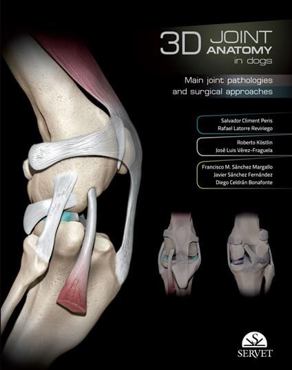 3D Joint Anatomy In Dogs