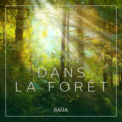 Ambiance – Dans la forêt