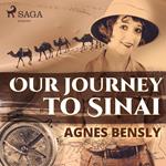 Our Journey to Sinai