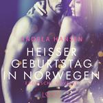 Heißer Geburtstag in Norwegen: Erotische Novelle