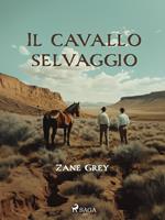 Il cavallo selvaggio