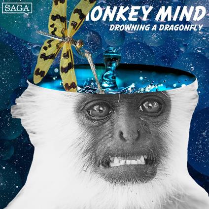 Drowning a Dragonfly