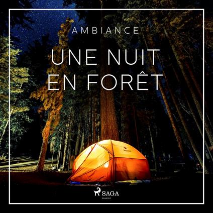 Une nuit en forêt