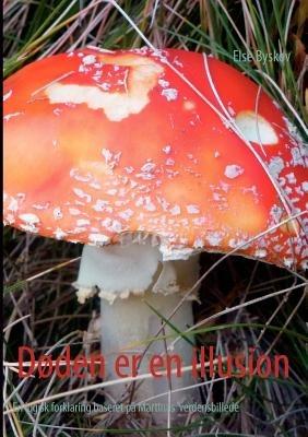 Døden er en illusion: En logisk forklaring baseret på Martinus' verdensbillede - Else Byskov - cover