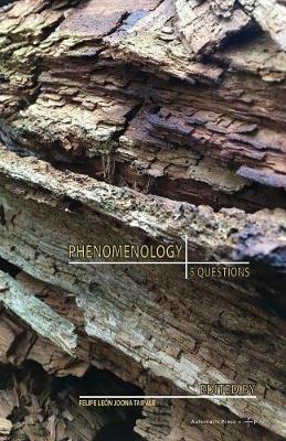 Phenomenology: 5 Questions - cover