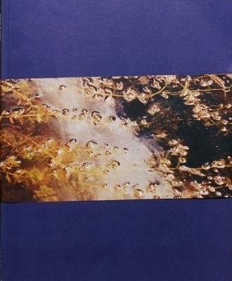 Gates to the Garden - Adam Kremer - cover