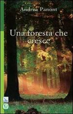 Una foresta che cresce