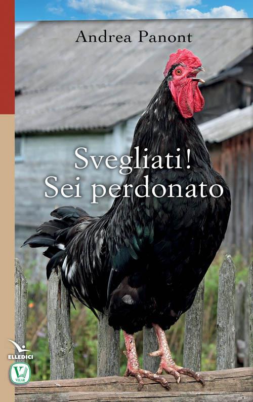 Svegliati! Sei perdonato - Andrea Panont - copertina
