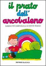 Il prato dell'arcobaleno. Sussidio per campi scuola ed estate ragazzi