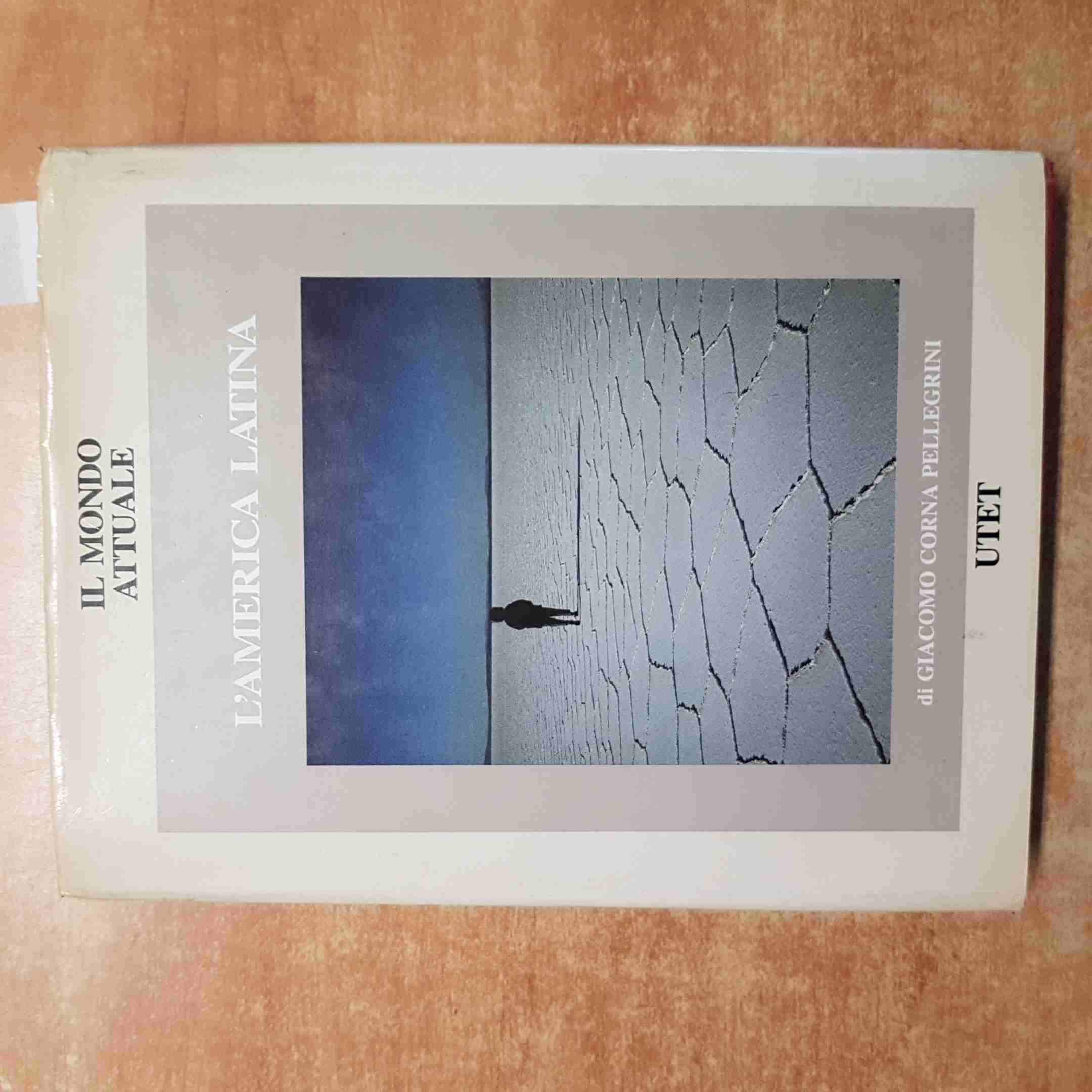 Il mondo attuale. Vol. 8: L'america latina.