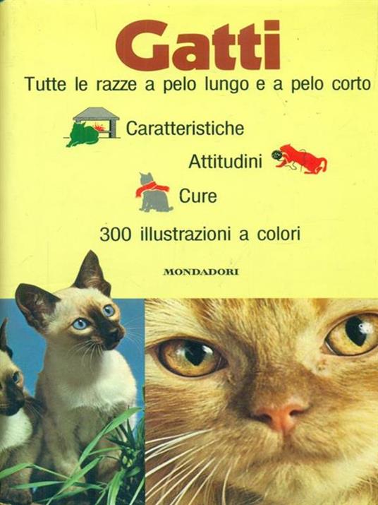 Gatti - Gino Pugnetti - 2