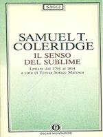 Il senso del sublime. Lettere dal 1794 al 1814