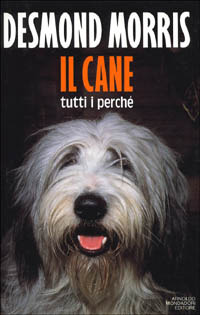 Libraccio