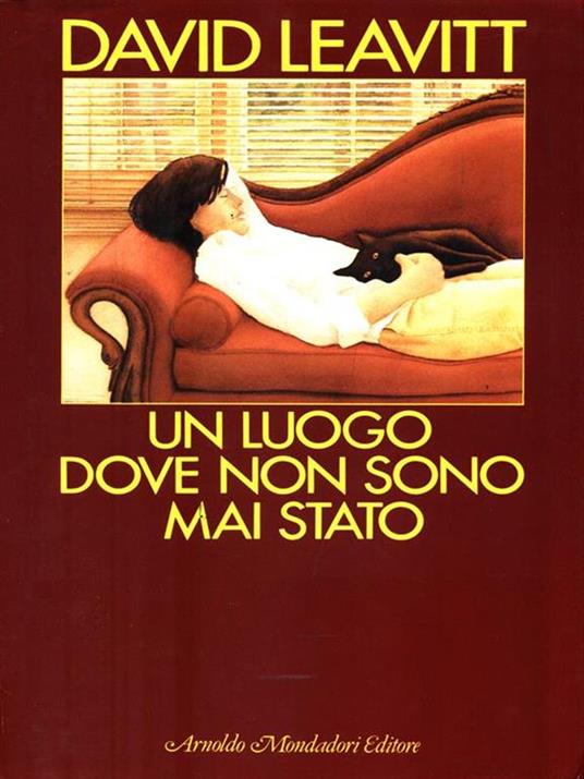 Un luogo dove non sono mai stato - David Leavitt - 2