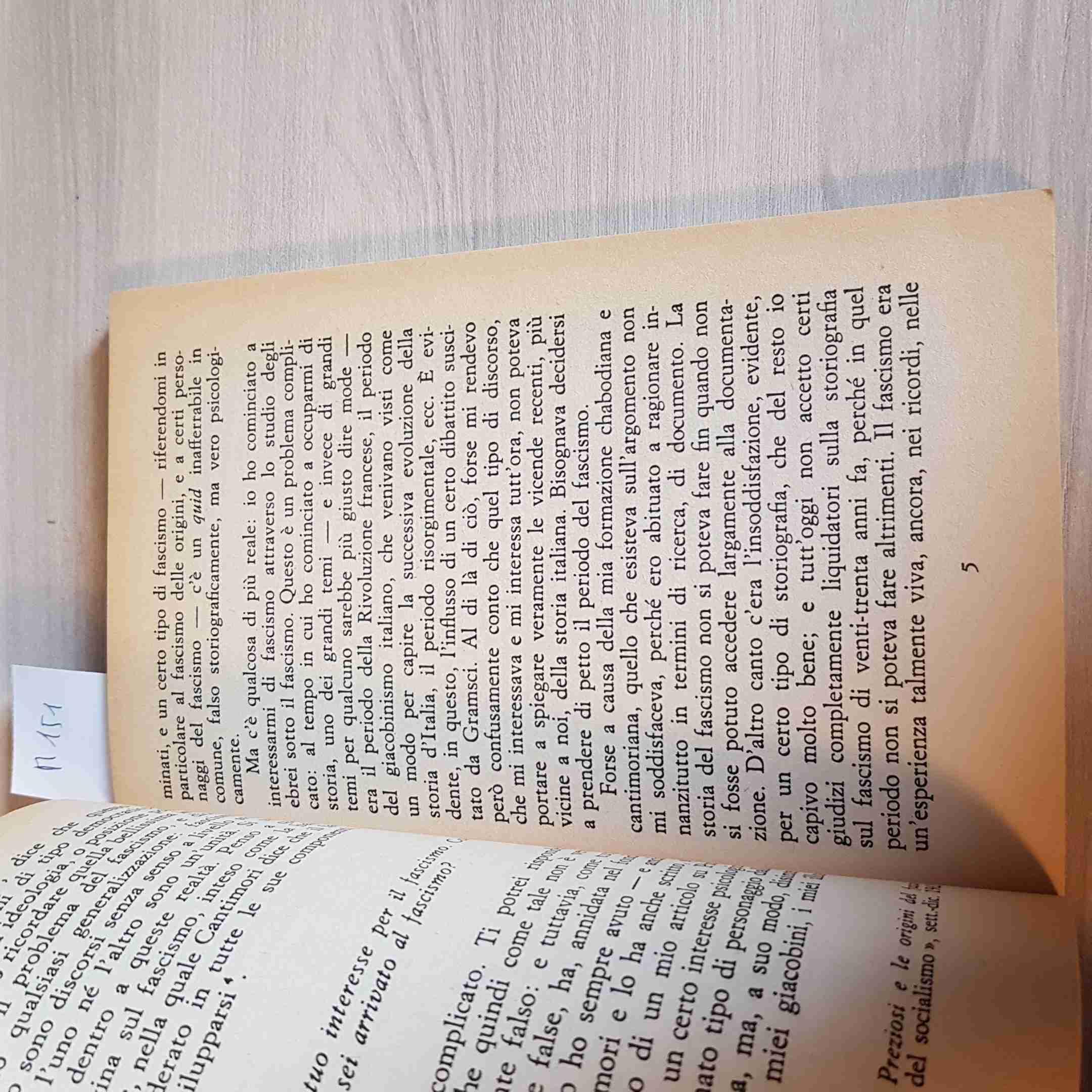 Intervista sul fascismo