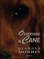 Osservare il cane