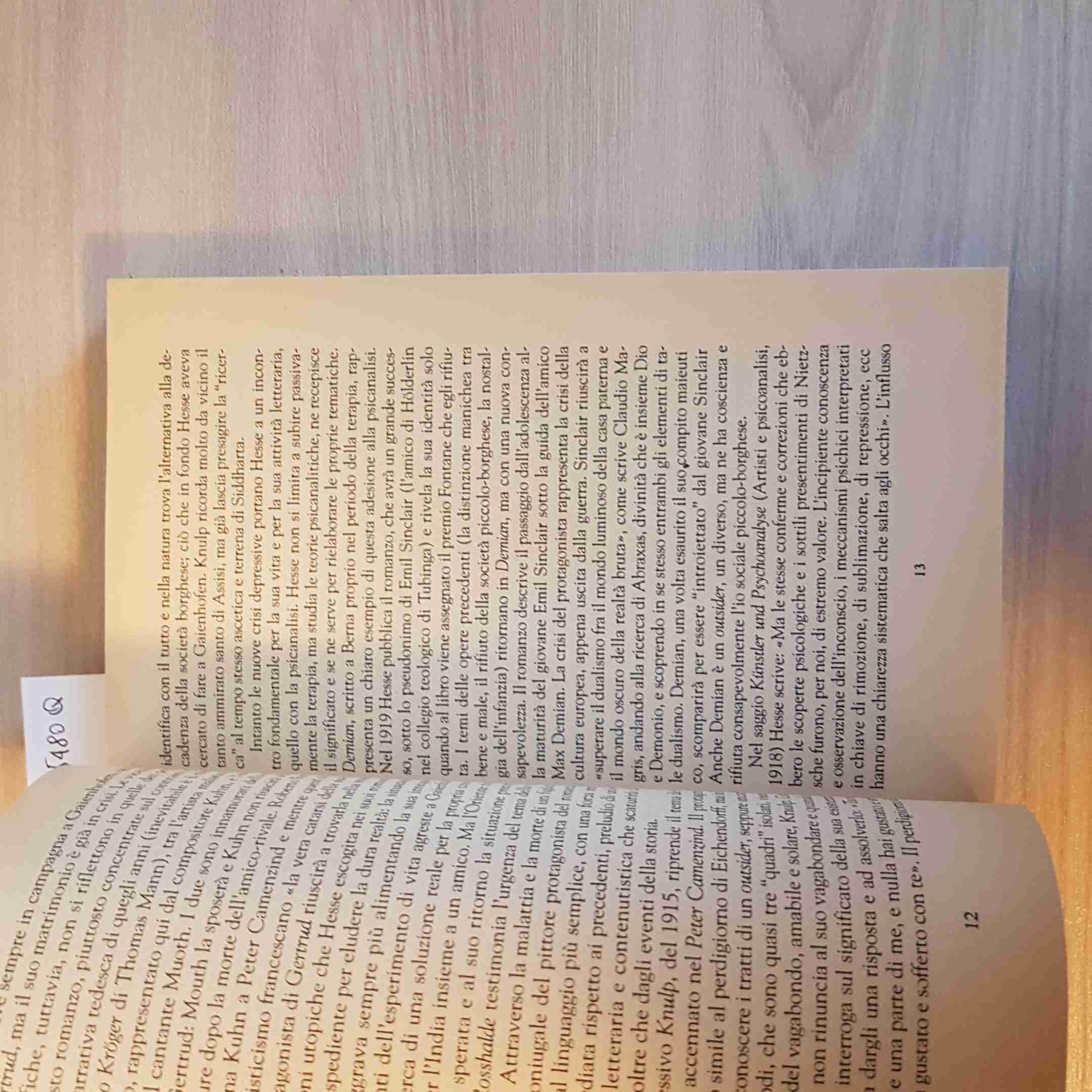 Il lupo della steppa