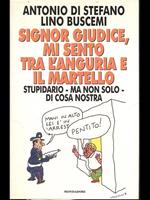 Signor giudice, mi sento tra l'anguria e il martello