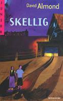 Skellig - David Almond - copertina