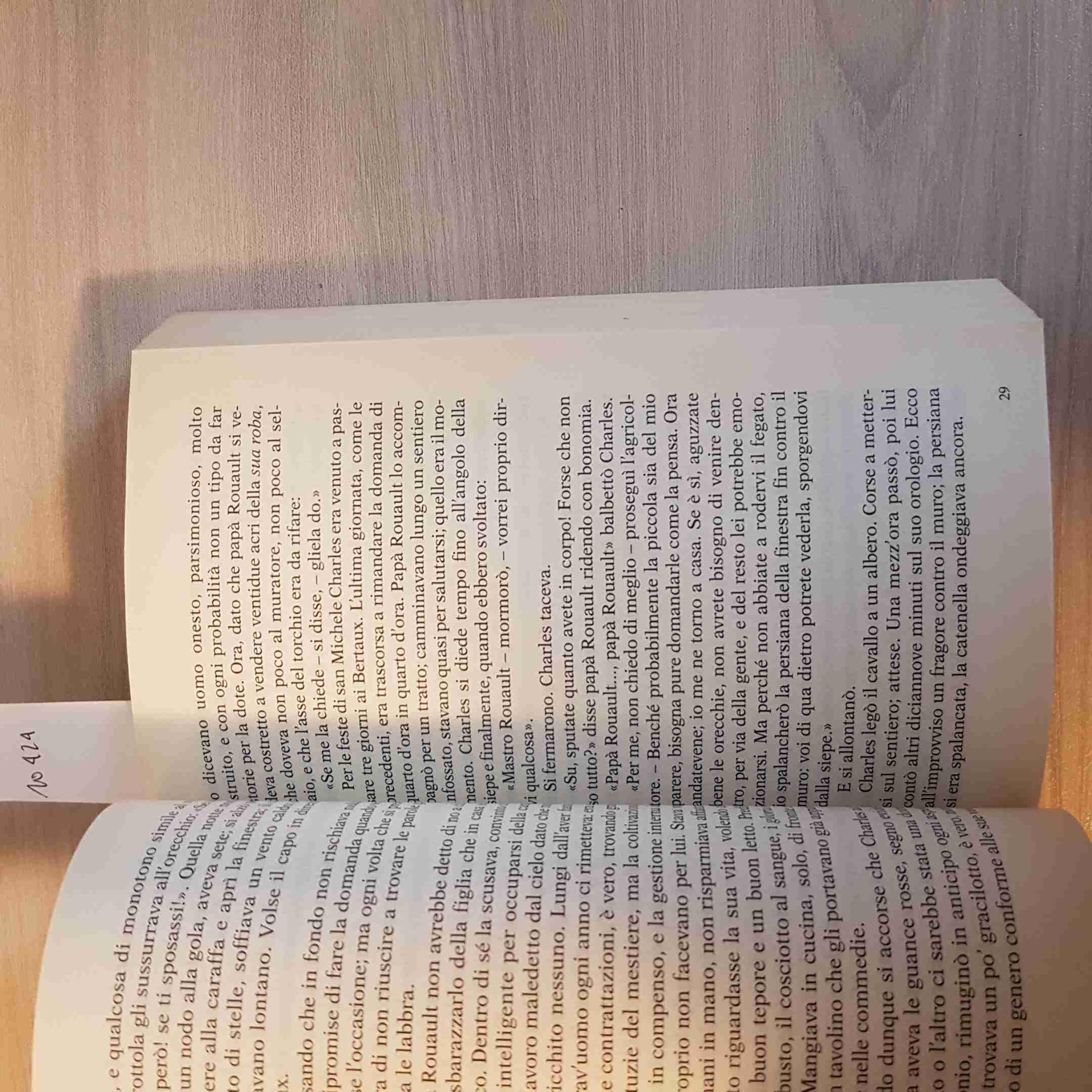 Madame Bovary