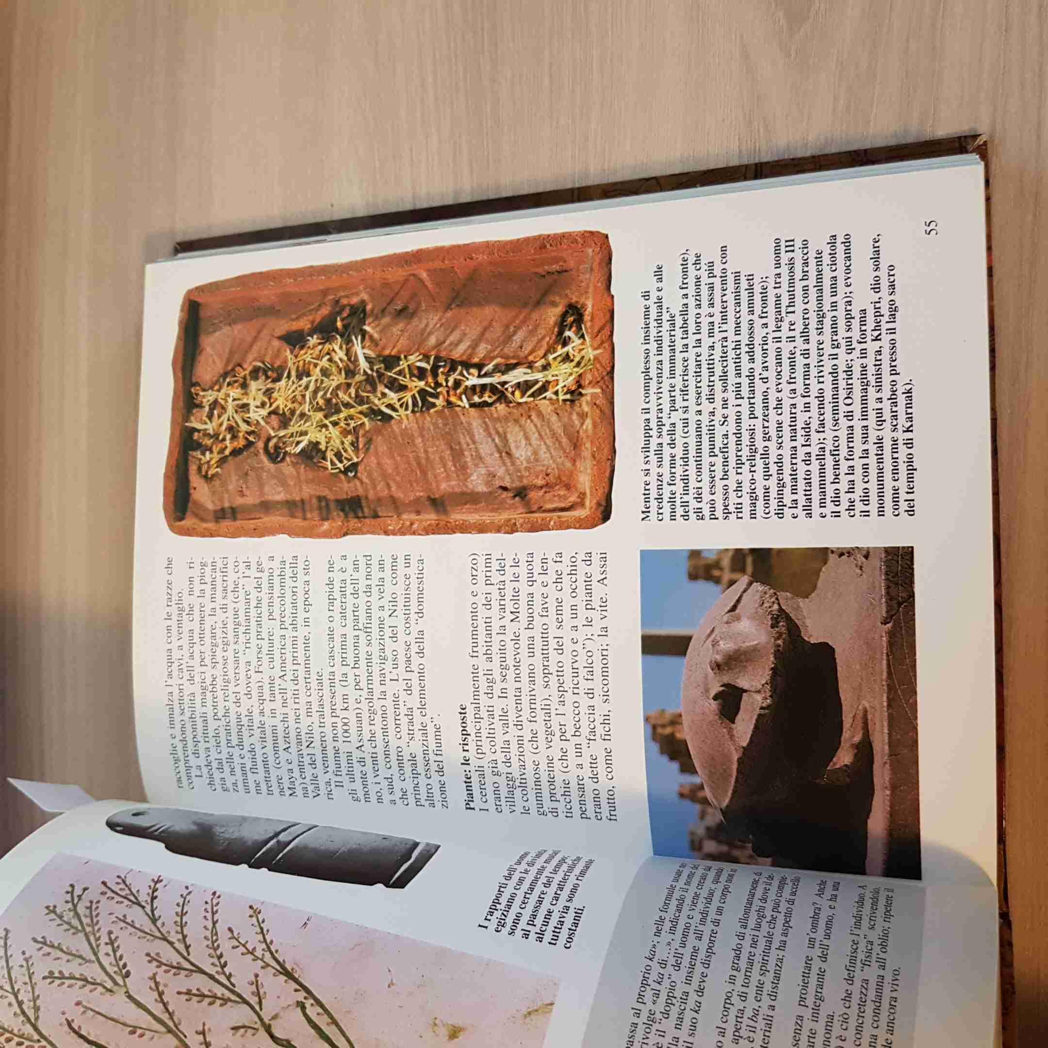 Il grande libro dell'Egitto