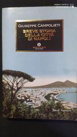 Breve storia della città di Napoli